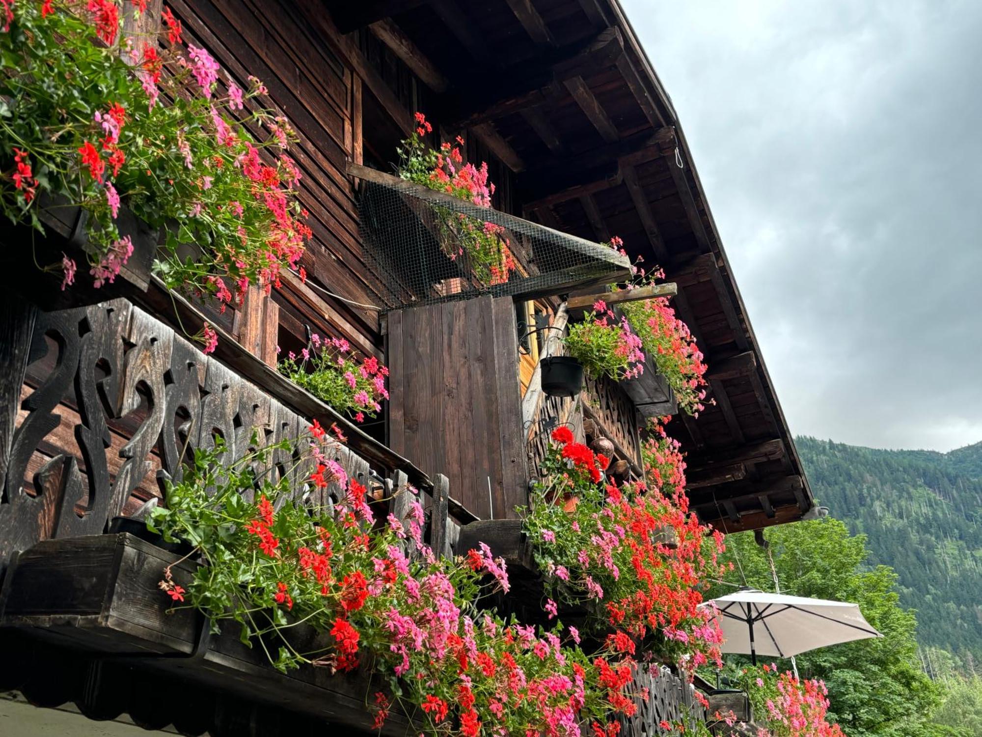 Gite La Montagne Chamonix Ngoại thất bức ảnh